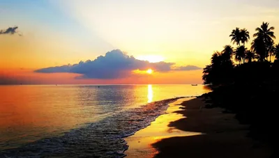 Islandlife Bungalows – Foto 6